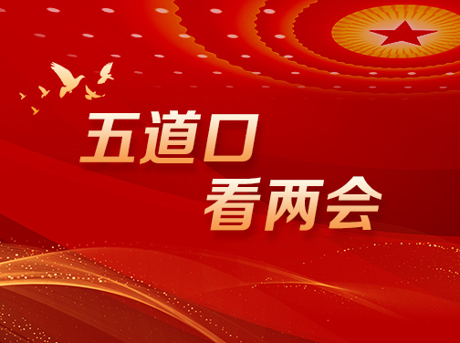 做爱影片榜样
看两会